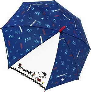 y|Cgő29{ vGg[zLN^[P 55cm Xk[s[ nbg 35200 WFCYvjO w ʊw  J wZ NX}X v[g Mtg qǂP 킢