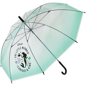 yԌN[|zzzXP[^[ rj[P 60cm AG UBV1N J q ǂ qǂ P JP LbY ʉ ʊw J CObY fBYj[ v[g Mtg Skater