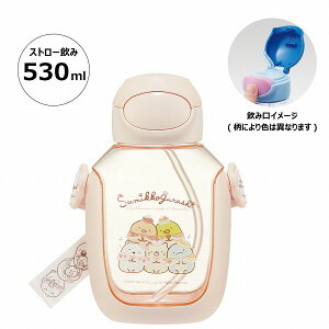 y|Cgő29{ vGg[zXP[^[ vbVXg[{g 530ml ݂R炵 PDSH6DX LbY q qǂ ǂ  }O NX}X v[g Mtg Skater