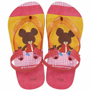 XP[^[ r[`T_ 17cm ܂̂ SDBE17 LbY q qǂ ǂ Xbp LN^[ v[g Mtg Skater