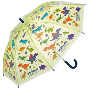 �X�P�[�^�[ �r�j�[���P 55cm �f�B�m�T�E���X UBV3 �����^�b�` �q�� ���ǂ� �q�ǂ� ���P �J�P �L�b�Y �ʉ� �ʊw �J�� ���C���O�b�Y �v���[���g �M�t�g Skater