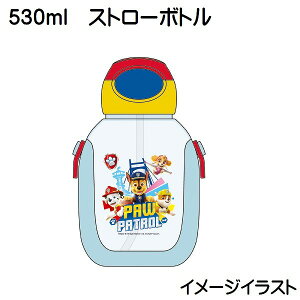 XP[^[ vbVXg[{g 530ml pE pg[ PDSH6DX LbY q qǂ ǂ  }O pEpg NX}X v[g Mtg Skater