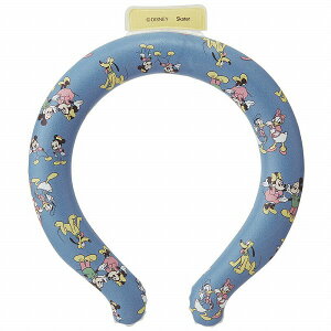 [֑ XP[^[ O M ~bL[&tY NCL1 LbY q qǂ N[O ⊴ Ђ ΍ fBYj[ NX}X v[g Mtg Skater