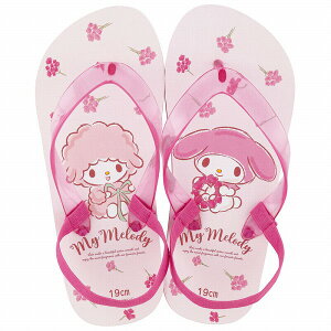 XP[^[ r[`T_ 19cm }CfB SDBE19 LbY q qǂ ǂ Xbp LN^[ v[g Mtg Skater