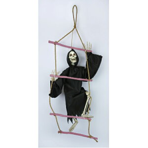 y|Cgő30{ vGg[znVSKCRc M HW-2022 Fߋ nEB  [ G  v[g