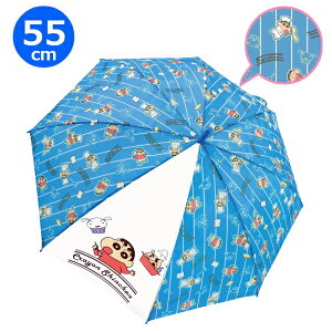 LN^[ P 55cm N񂿂 NbLO 35189 WFCYvjO P LbY q 킢 w ʊw J v[g Mtg qǂP
