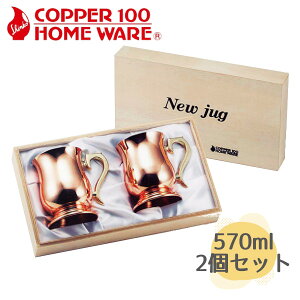 WbL  2pcs S-2505A V Oŏa34N瑱H탁[J[ r[WbL rAOX Rbv ACXR[q[ yA ۗ LOi   a v[g Mtg