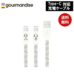 y|Cgő30{ vGg[z[֑ s[ibcUSB Type-CΉ [dP[u AC{[ SNG-744IV Xk[s[ O}fB[Y iPad iPod USB LN^[ 킢 