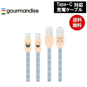 yԌN[|zzz[֑ ~btB[USB Type-CΉ [dP[u ~btB[{X MF-388C O}fB[Y iPad iPod USB LN^[ 킢  v[