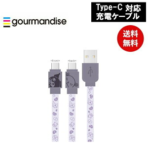 y|Cgő30{ vGg[z[֑ N~USB Type-CΉ [dP[u SANG-304KU TI O}fB[Y iPad iPod USB LN^[ 킢  v[g 