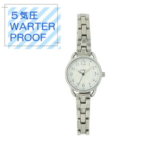 y|Cgő29{ vGg[z[֑ rv WPANA SWH Vo[zCg ASS173-1 5C h rv  킢 q fB[X tB[h[N NX}X v