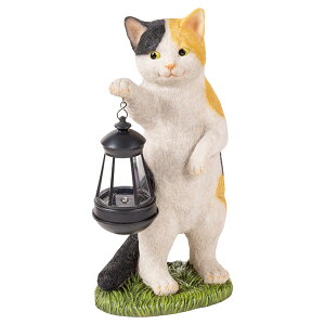 \[[I[ig CAT ~P SR-8001 ZgNtg SETOCRAFT ˂ L K[fCg tbgCg O    NX}X v[g Mtg