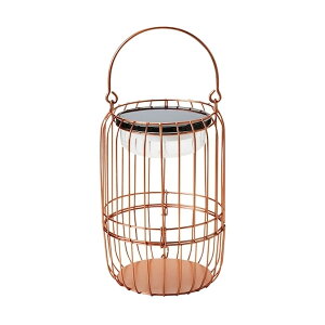 \[[^ Jbp[ S23-0611-CP ZgNtg SETOCRAFT h z[d GNXeA  Cg K[fCg  v[g Mtg