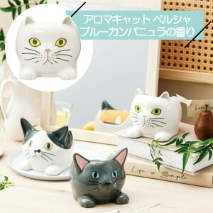 A}Lbg yV P23-0764 ZgNtg SETOCRAFT ˂ L A} A}Lh 킢  NX}X v[g Mtg