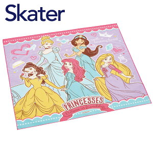 y|Cgő30{ vGg[z[֑ `NX fBYj[vZX KB4 fBYj[ Disney XP[^[ { C~ qp LbY LN^[ 킢 ۈ牀 c