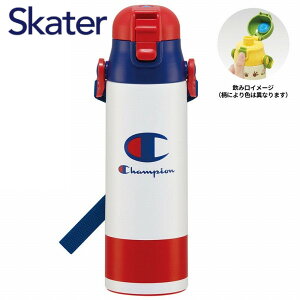 y|Cgő30{ vGg[z  y _CNg{g 580ml `sI SDC6N XP[^[ LN^[ 킢 XeX{g ۗ Mtg v[g Skater