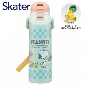   y _CNg{g 580ml Xk[s[ SDC6N s[ibc XP[^[ LN^[ 킢 XeX{g ۗ Mtg v[g Skater