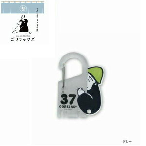 [֔ bNX bJ[L[Jri O[ 24P45234 TEi[ T C oXObY oXpi 킢 pCNGCg NX}X v[g Mtg