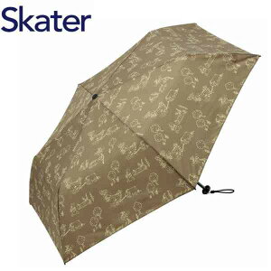 XP[^[ yʒ܏ݎP 50cm UBUWO50 ܂̃v[ LbY ʉ ʊw J CObY ܂ Skater v[g Mtg
