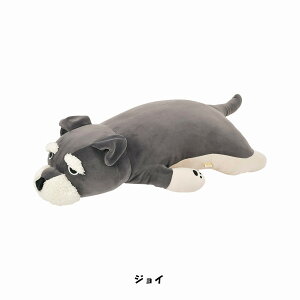 v~A˂ނ˂ރAj}Y ܂L  NbV ʂ   L ybg  킢 Ԃ͂ v[g Mtg