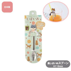 yԌN[|zzz΂ Xv[  TK40713 G 킢  Sugar Land VK[h Mtg v[g