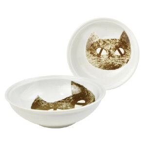 y|Cgő29{ vGg[zCat's Face {ES BR 43313 M G 킢  Sugar Land VK[h Mtg NX}X v[g