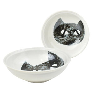 y|Cgő29{ vGg[zCat's Face {ES BK 43314 M G 킢  Sugar Land VK[h Mtg NX}X v[g