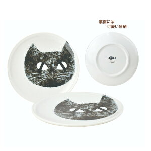 y|Cgő29{ vGg[zCat's Face v[gS BK 43316 M G 킢  Sugar Land VK[h Mtg NX}X v[g