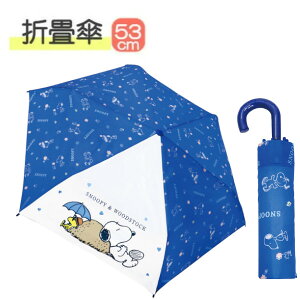 LN^[ ܏P 53cm Xk[s[ gt[ 90469 WFCYvjO qǂ ǂ LbY w j̎q ̎q  JT P JP Mtg NX}X v[g qǂP 