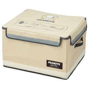 y|Cgő29{ vGg[zXP[^[ uz{bNXL 75L Xk[s[ ZOKB2 s[ibc uz z{bNX BOX ו sݎ LN^[ NX}X v[g Mtg Skater