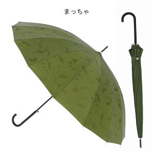 P La JK-154 Wv OXt@Co[ e55cm 16{ JP fB[X TgX NX}X v[g Mtg