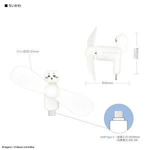 [֑  RlN^t ~jN[t@ USB Type-C nfBt@ ~j@ gѐ@ 莝@ nfB@ X}zp@ ^@ }XRbgt ^C