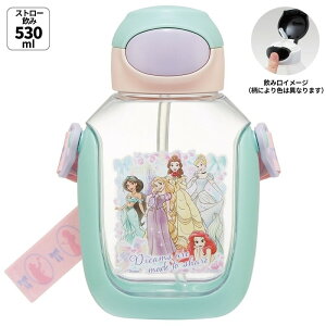 y|Cgő30{ vGg[zXP[^[ fBYj[ vZX 25  vX`bN Xg[^Cv 530ml OV[ V_[xgt Skater PDSH6DX