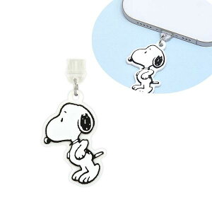 [֑ s[ibc USB Type-CΉRlN^`[ Xk[s[ SNGG-114A RlN^Xgbv RlN^ANZT X}zANZT iPhone android TypeCANZT TypeC zRh~