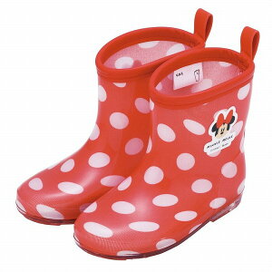 yԌN[|zzzXP[^[ [Jbg Cu[c ~j[}EX 16cm RIBT16 3 4 ˃e[vt LN^[Ȃ J J̓ fBYj[ Disney Skater 킢 