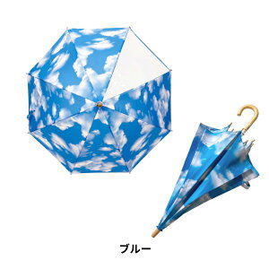 P Sky Cloud P LbY qp ẽTCY 45cm 50cm 55cm qǂ ̎q j̎q  j  JT J JP ۈ牀 ct w ʉ ʊw CObY v OXt@Co[ 