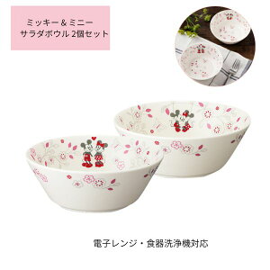 y|Cgő29{ vGg[z~bL[ & ~j[ T_{E 2Zbg P 65083 fBYj[ Disney maebata  킢 H Mtg NX}X v[g