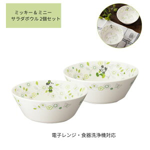 ~bL[ & ~j[ T_{E 2Zbg G 65084 fBYj[ Disney maebata  킢 H Mtg NX}X v[g