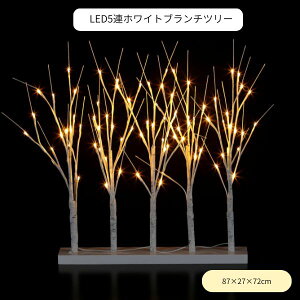 LED5AzCgu`c[ WG-25410 Fߋ  }   `[t NX}X C~l[V Cg 