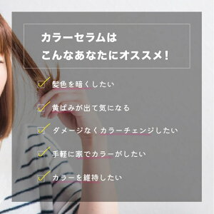 KYOGOKU �J���[�Z���� �t�@���V�[�r�r�b�h�p�[�v��