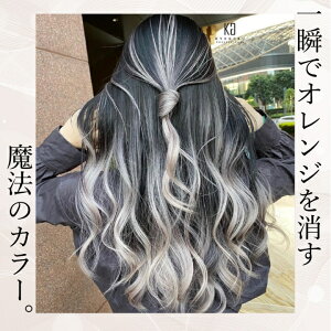 KYOGOKU IROME �V���o�[�R���N�V���� �`�^���V���o�[