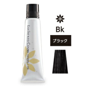 [おまけ付　イヤーキャップ2枚]　フォードヘア化粧品 ルーチェントコスメ ブラック Bk 150g(ヘアマニキュア)