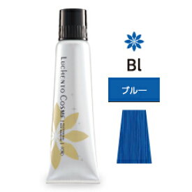 [おまけ付　イヤーキャップ2枚]　フォードヘア化粧品 ルーチェントコスメ ブルー Bl 150g(ヘアマニキュア)