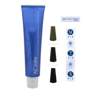 インターコスメ アカウンタブルカラー gray shade アッシュブラウンAB 80g(医薬部外品))