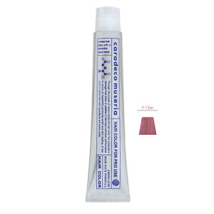 iJm LfR~[A P13(sN) 80gy򕔊Oiz