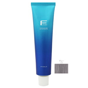 tB[RXeBNX FJ[ NIVA O[13@120g1܁(򕔊Oi)