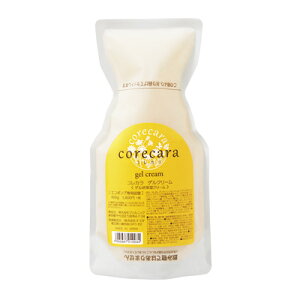 WFjbN RJ QN[400g[GR|vpl]QێN[