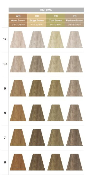 楽天市場】デミコスメティクス トイロクション ブラウンライン  