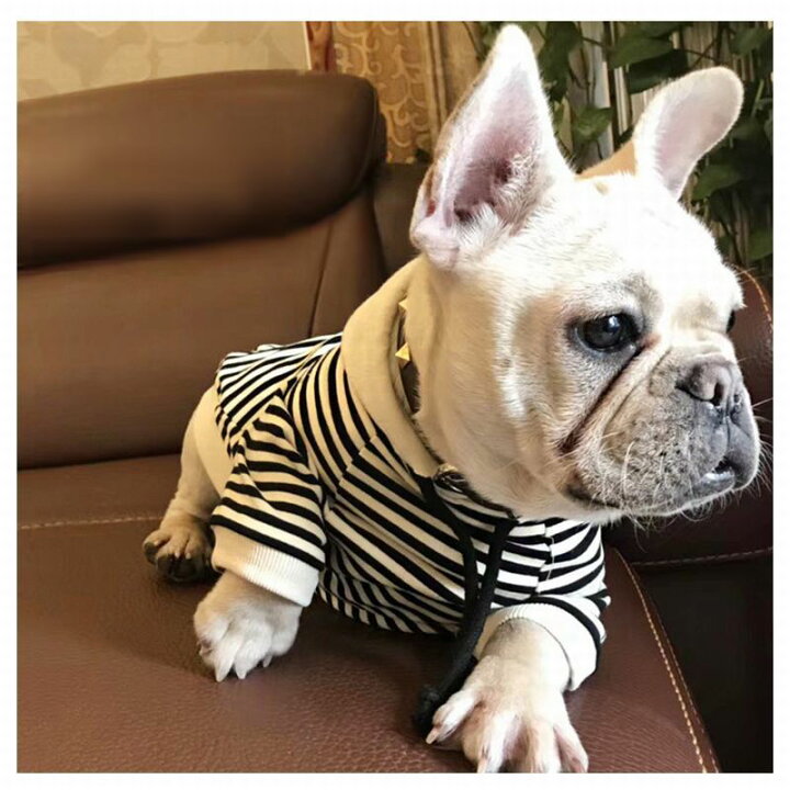 楽天市場 送料無料 犬服 ドッグウェア パーカー 飼い主とお揃い ボーダー柄 フード 犬用品 ペット用品 犬 いぬ ドッグ 小型犬 中型犬 大型犬 フレンチブルドッグ フレブル 可愛い かわいい かっこいい おしゃれ オシャレ カーキ ブラック ホワイト 黒 白 Plus Nao