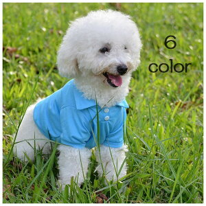  pEFA pVc hbNEFA |Vc Vc gbvX pm U o Cxg ̕ ʗp Ckp hbO ^ ybgp t  H Jt J[Lx 